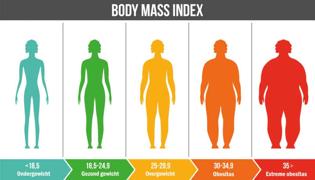 Concurrenten nakomelingen Avondeten Op weg naar een gezonde Body Mass Index (BMI) - Apotheek Online